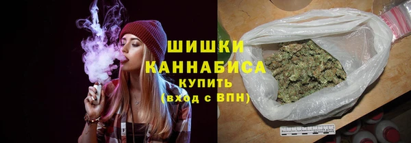 сатива Аркадак