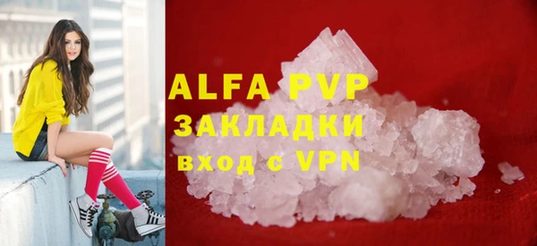 сатива Аркадак