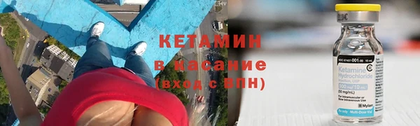 сатива Аркадак