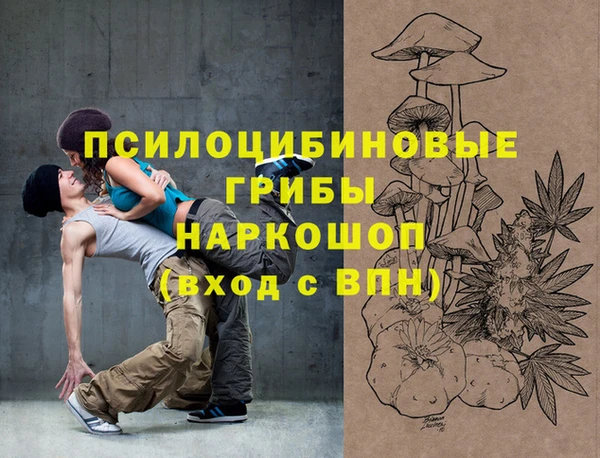 сатива Аркадак