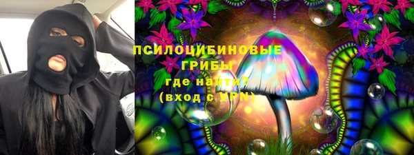 сатива Аркадак