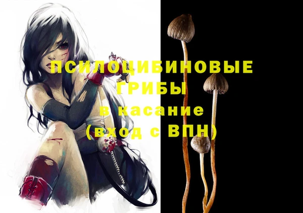 прущая мука Арсеньев